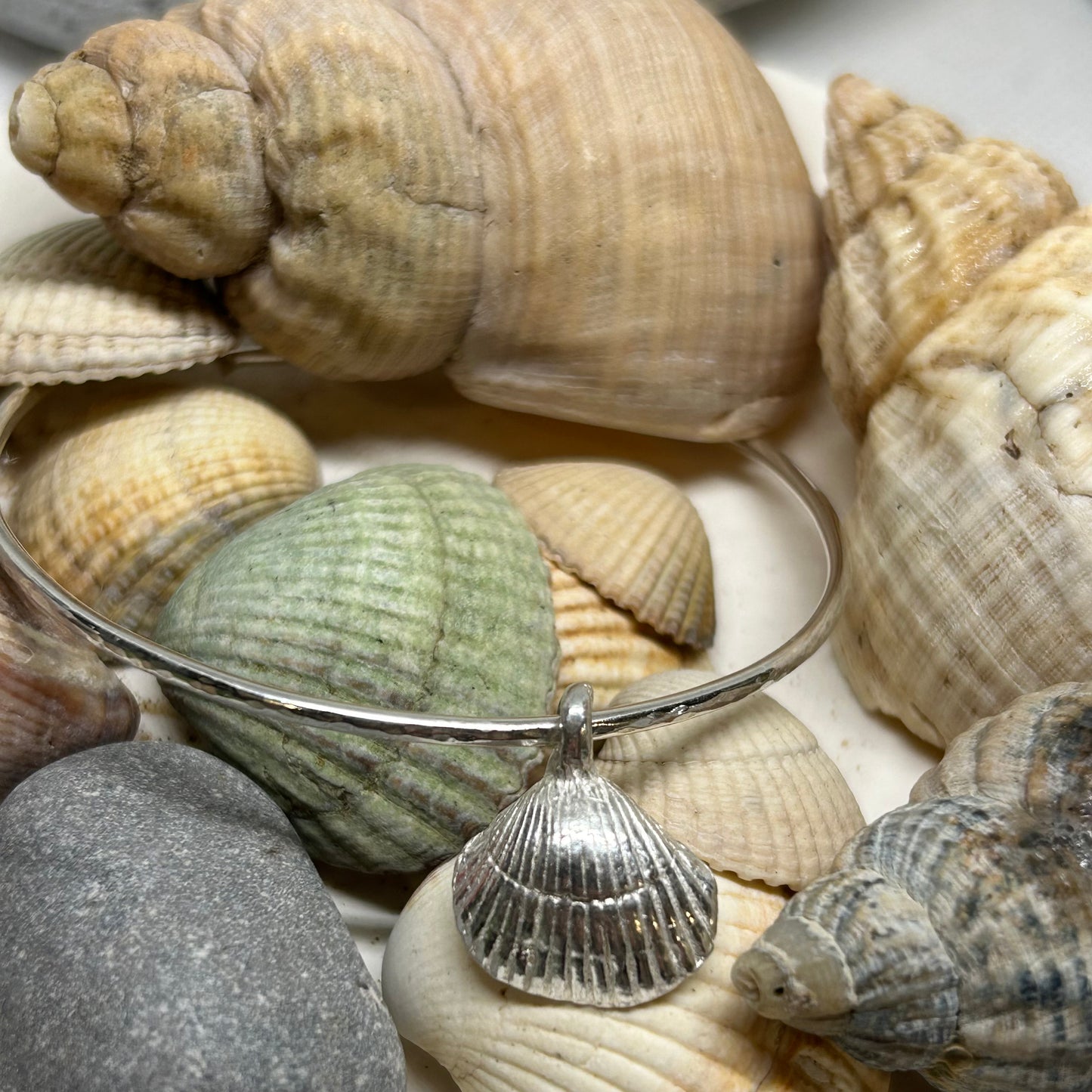 CLEETHORPES COCKLE SHELL BANGLE
