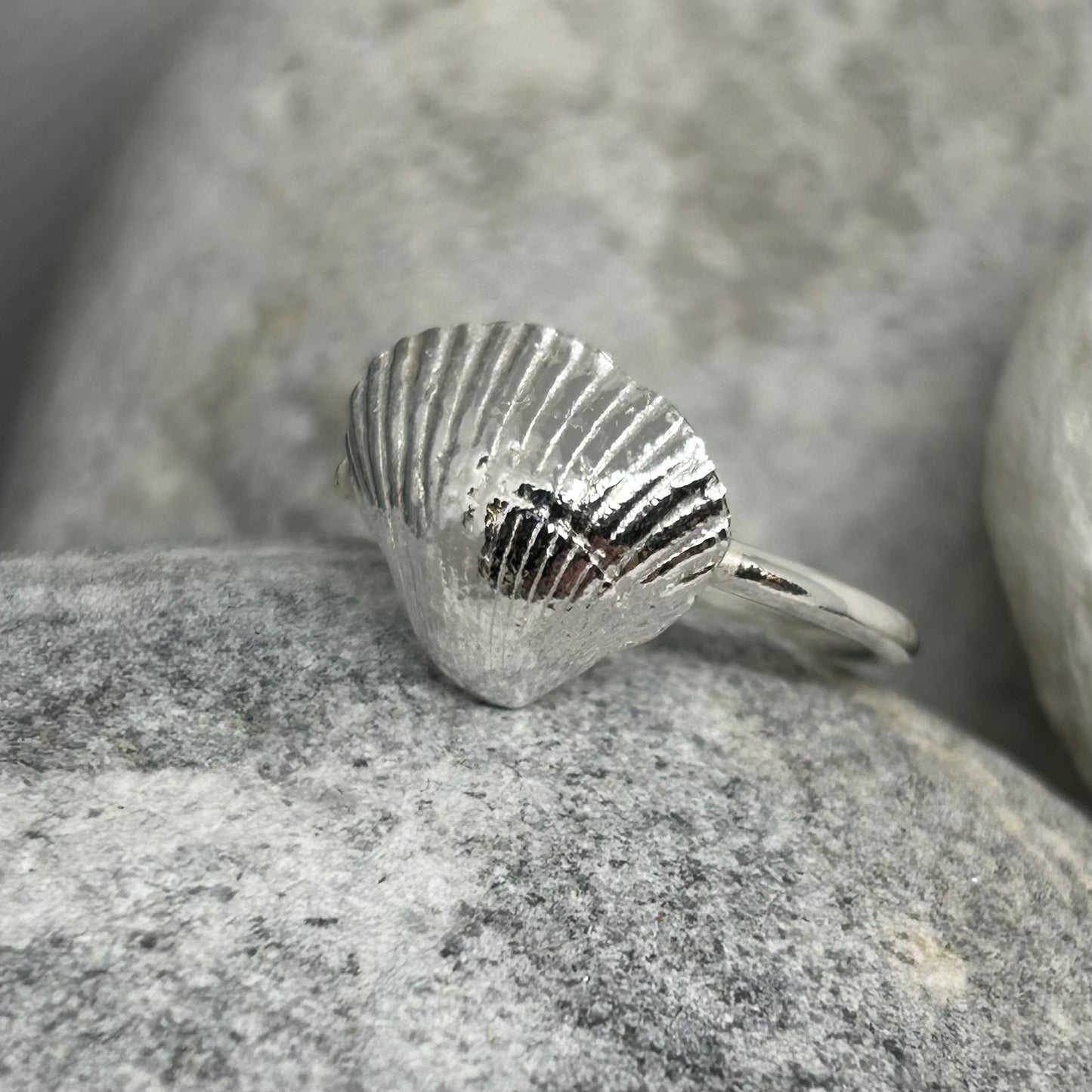 CLEETHORPES COCKLE SHELL RING