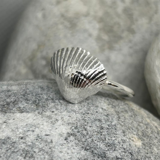 CLEETHORPES COCKLE SHELL RING