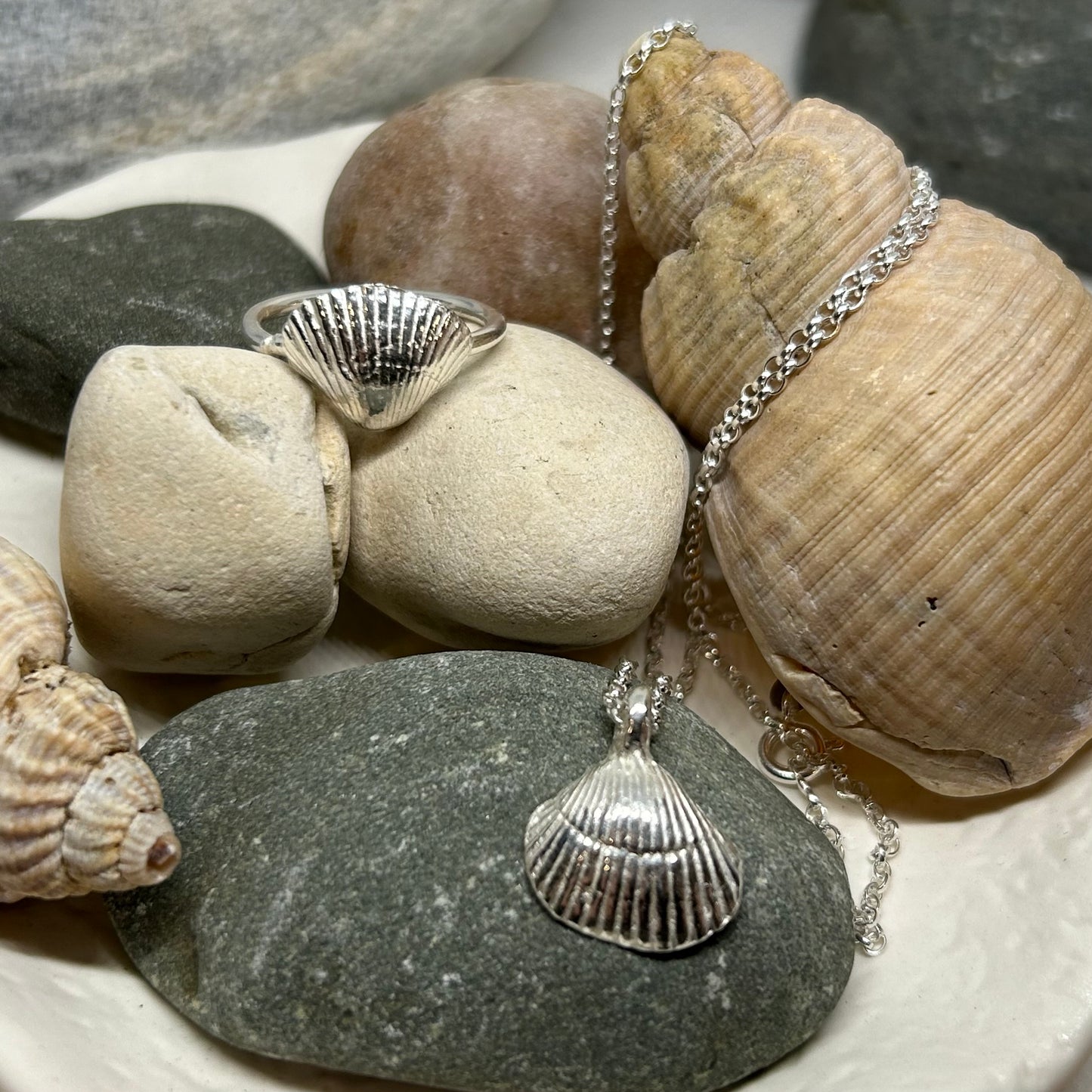 CLEETHORPES COCKLE SHELL NECKLACE