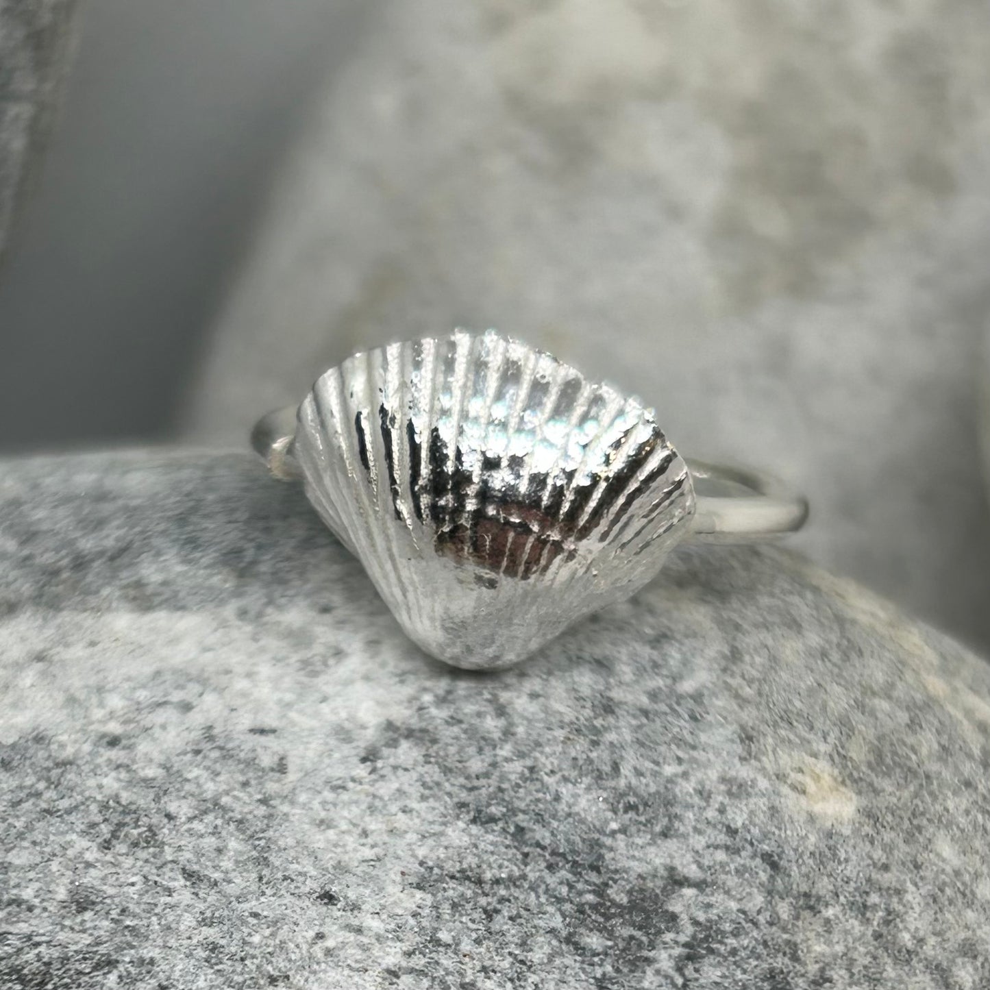 CLEETHORPES COCKLE SHELL RING