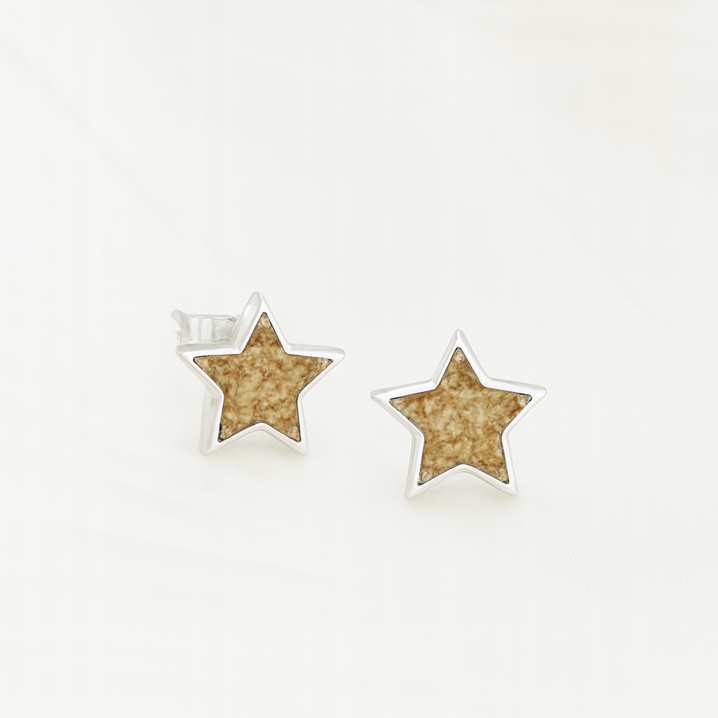 MEMORIAL SMALL STAR STUD EARRINGS